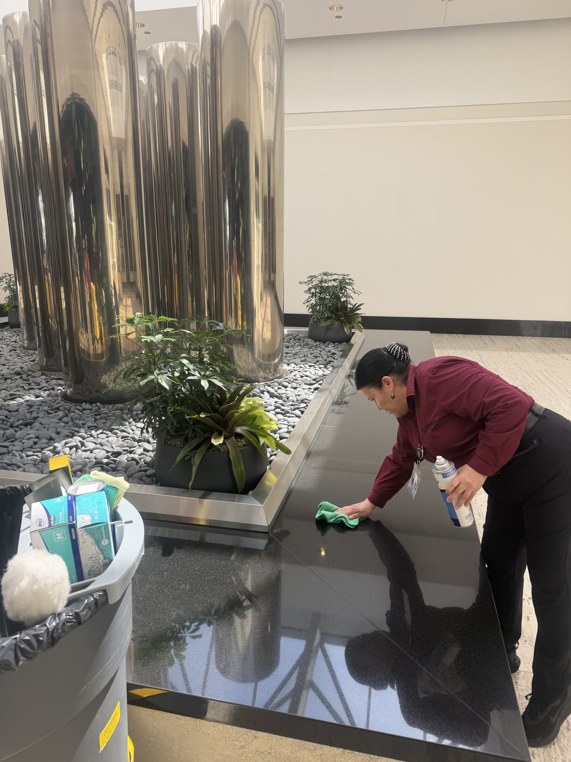 Professional janitorial services